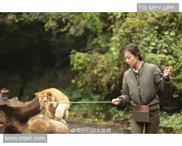 女子偶遇足球明星的奇妙瞬间背后隐藏的故事与感动