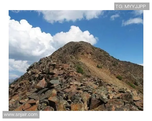 刘磊独家分享攀岩技巧与心得体会助你轻松征服高峰