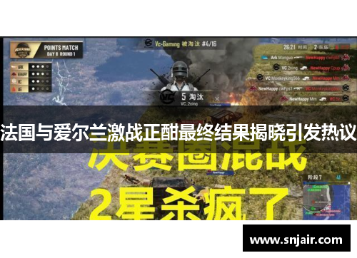 法国与爱尔兰激战正酣最终结果揭晓引发热议